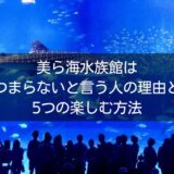 美ら海水族館はつまらないと言う人の理由と楽しむ方法