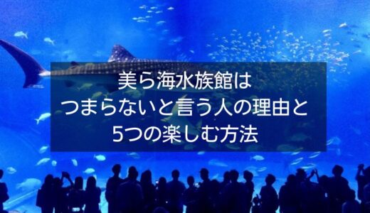 美ら海水族館はつまらないと言う人の理由と5つの楽しむ方法