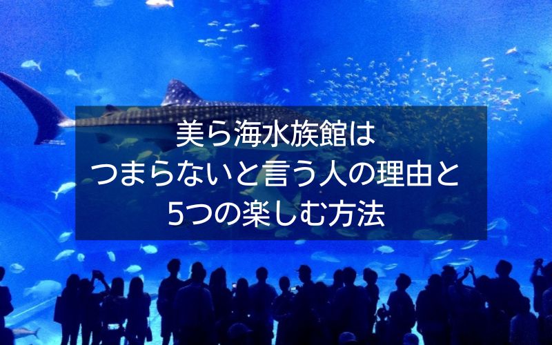 美ら海水族館はつまらないと言う人の理由と楽しむ方法