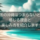 冬の沖縄はつまらないと感じる理由と楽しみ方を紹介します